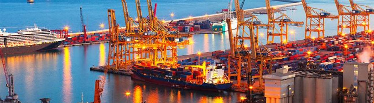 INAS ExIm LLC